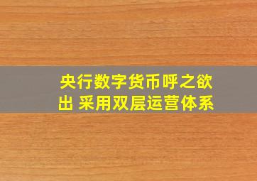 央行数字货币呼之欲出 采用双层运营体系